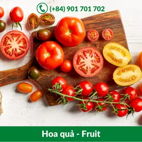 Hoa quả - Fruit_-06-11-2021-23-31-06.webp